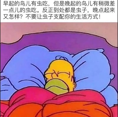 这是一张趣味梗图，画面主体是美国动画《辛普森一家》中的角色霍默·辛普森，他裹着被子躺在床上，双眼紧闭，眉头微皱，呈现出赖床不愿起身的状态。图片上方配文改写了传统俗语“早起的鸟儿有虫吃”，提出“晚起的鸟儿有稍微差一点儿的虫吃”，进而调侃“反正到处都是虫子，晚点起来又怎样？不要让虫子支配你的生活方式”，以幽默的口吻消解了“必须早起”的刻板生活准则，传递出拒绝内卷、支持躺平放松的生活态度，角色的状态与配文完美呼应，充满了自嘲式的幽默感。