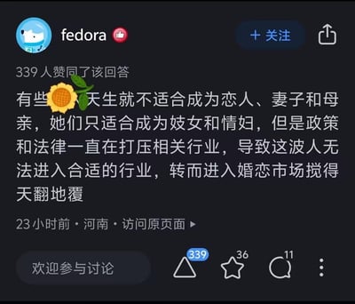 这是一张移动端社交媒体的评论截图，用户名为fedora的用户发布了极具恶意的性别歧视言论，将部分女性恶意污名化为仅适合从事色情行业，还荒谬地声称相关行业被管控导致这类女性进入婚恋市场引发混乱。该评论发布于河南，23小时前发布，获得了339个赞同、36个收藏和11条评论，内容严重冒犯女性，充满对女性的恶意污名化，无任何双关、谐音梗等内容，属于典型的性别歧视不当言论。