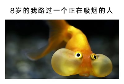 这张梗图上方配有文字'8岁的我路过一个正在吸烟的人'，下方是一张水泡眼金鱼的照片。金鱼睁着大大的眼睛，表情好奇，仿佛在模仿童年时看到吸烟者时的好奇或惊讶反应，整体风格幽默有趣，引发观众对童年类似经历的共鸣。