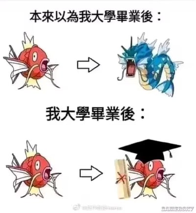 这张梗图以《精灵宝可梦》中的鲤鱼王和暴鲤龙作比，调侃了大学毕业的现实与期望。上部分表达了多数人对大学毕业后的美好期待——像鲤鱼王进化为强大的暴鲤龙一样蜕变升级。下部分则揭示残酷现实：实际只是带顶学士帽、拿了毕业证的鲤鱼王，内核并未有显著本质提升，形象未变，带有强现实讽刺感。

**双关/暗示：**
- 鲤鱼王在宝可梦里很弱，进化后变强，用于勉励“蜕变”。此图用相同角色嘲讽“大学毕业其实没啥变化”。