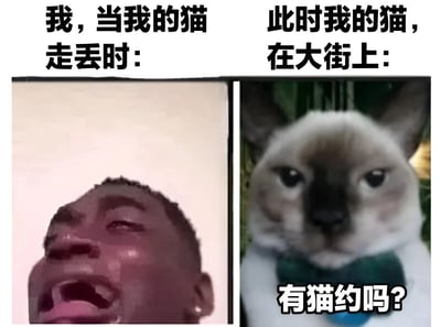 左边是主人发现猫咪走丢时崩溃大哭的夸张表情，脸上带着泪痕，仰头哀嚎；右边则是猫咪在大街上一脸淡定，配文“有猫约吗？”，形成强烈反差萌，幽默展现宠物与主人之间的“爱恨情仇”，突出猫咪的“没心没肺”和主人的焦虑。
