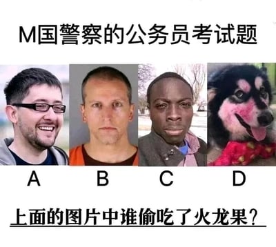 暂无描述