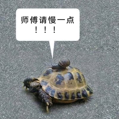 这是一张充满趣味的实拍梗图，画面主体是一只在灰色路面上爬行的乌龟，一只蜗牛趴在乌龟的壳上，旁边配有白色对话气泡，气泡中的文字是蜗牛以“师傅”的口吻喊出的“师傅请慢一点！！！”。利用大众认知中乌龟和蜗牛都是行动缓慢的动物，却让蜗牛觉得乌龟的速度过快的反差感，制造出荒诞搞笑的幽默效果，将动物拟人化，模拟出搭乘交通工具时乘客担心速度过快的场景，十分诙谐有趣。