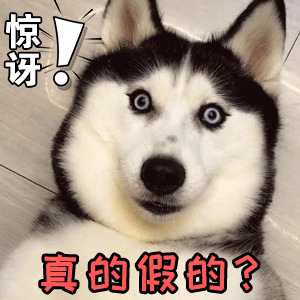 哈士奇惊讶表情包：真的假的？