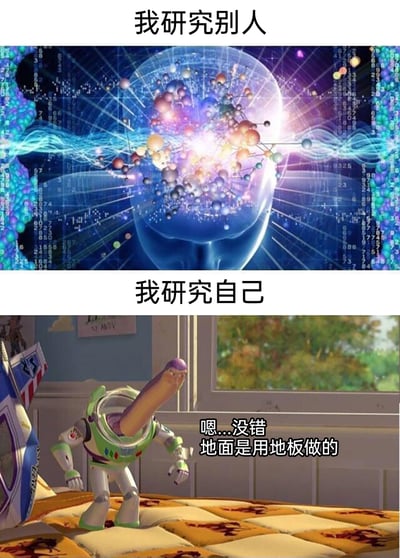这是一张上下对比式的搞笑梗图，上半部分配有文字“我研究别人”，画面是充满科技感的抽象人脑图像，人脑内部布满粒子、数据线条与数字代码，呈现出一种精密、深度剖析的视觉效果，传递出人们在研究他人时仿佛能进行复杂、透彻分析的状态；下半部分配有文字“我研究自己”，使用了迪士尼动画《玩具总动员》中巴斯光年的P图素材，巴斯光年被修改成长脖子的怪异形象，同时配有台词“嗯...没错 地面是用地板做的”，表现出人们在进行自我研究、自我剖析时，大脑陷入迷茫，只能得出毫无意义的废话，用强烈的视觉和内容反差，调侃了人们在自我认知时的无力感与低效状态。