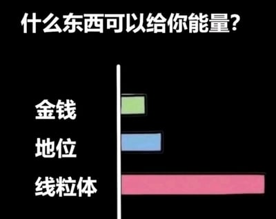 这是一张结合生物知识与网络趣味的静态图文梗图，整体以黑色为背景，顶部用白色大字提出问题“什么东西可以给你能量？”，下方左侧依次列出三个选项：金钱、地位、线粒体，右侧对应不同长度的彩色条形，其中金钱对应绿色短条形，地位对应蓝色中长条形，线粒体对应红色超长条形，长度远超前两者。这张图通过对比的方式，运用中学生物知识里“线粒体是细胞的能量工厂，为机体提供能量”的知识点，调侃了世俗认知中金钱、地位带来的“能量”，从科学角度强调线粒体才是真正给人提供能量的核心，兼具科普性和搞笑趣味，适合在社交平台传播，用来科普生物知识或者表达对世俗价值观的幽默解构。