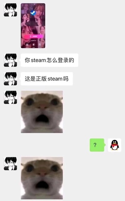 这是一段社交平台的聊天记录截图，对话充满乌龙笑点：左侧用户先发送了一款带有“开始视频”按钮的交友类软件界面截图，随后接连询问对方“你steam怎么登录的”“这是正版steam吗”，并发送了两张网络流行的“震惊猫”表情包来表达自己的疑惑与不敢置信；右侧用户则发送了带有问号的消息和QQ企鹅图标，以此表达自己的困惑，之后左侧用户又发送了一张同款“震惊猫”表情包。整个对话的核心笑点在于左侧用户完全混淆了Steam游戏平台与另一款软件，产生了啼笑皆非的乌龙场景。