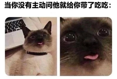图片上方配有文字“当你没有主动问他就给你带了吃吃：”，下方分为左右两格。左图是一只暹罗猫，身体呈浅色，面部、耳朵为深色，戴着黑色项圈，坐在笔记本电脑旁，抬头向上看，嘴巴微张吐着舌头，表情显得期待又开心。右图是该猫咪的面部特写，双眼瞪得很大，瞳孔圆润，同样吐着舌头，眼神中充满惊喜和兴奋。整体通过猫咪可爱的表情变化，幽默地展现了收到他人主动带来食物时的开心与惊喜反应。