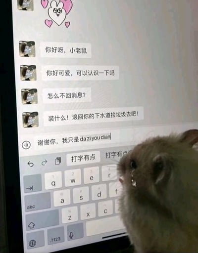 图片展示了一只小老鼠坐在键盘前，正在回复聊天消息的有趣场景。聊天窗口中，对方先发送了友好消息："你好呀，小老鼠"、"你好可爱，可以认识一下吗"，在未得到及时回复后突然转变态度："怎么不回消息?"、"装什么! 滚回你的下水道捡垃圾去吧!"。而小老鼠这边正含着眼泪，艰难地在键盘上打字，输入框中显示"谢谢你，我只是 da zi you dian"，输入法建议栏显示"打字有点"，暗示小老鼠因为打字太慢而没能及时回复，形成了幽默的反差效果。顶部还有一个带有爱心和兔子图案的可爱贴纸。