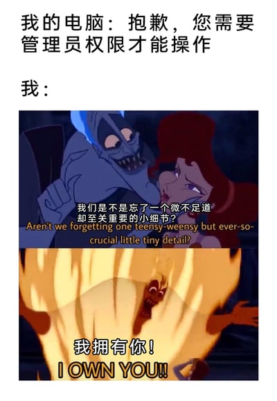 这是一张吐槽电脑权限限制的搞笑梗图，上方文字模拟电脑的系统提示：“抱歉，您需要管理员权限才能操作”，下方截取迪士尼动画《大力士海格力斯》的两段场景来表现用户的心态：先是以角色哈迪斯调侃的语气指出“我们是不是忘了一个微不足道却至关重要的小细节？”，随后哈迪斯愤怒地喊出“我拥有你！”，精准吐槽了用户作为电脑的所有者，却被系统限制操作的荒谬与无奈，戳中了很多人在使用电脑时遇到权限问题的愤怒又无力的心情。