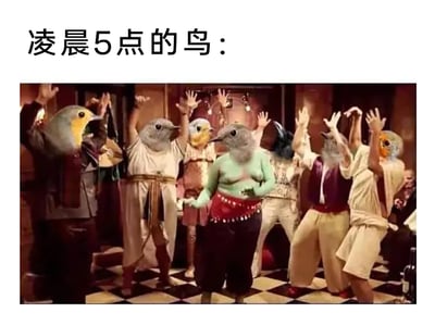 这是一张搞笑合成梗图，上方配有文字“凌晨5点的鸟：”，下方画面呈现出一群有着人类身体、鸟类头部的形象，他们身着复古风格的服饰，身处铺有黑白格地板的室内空间，大多高举双手，姿态兴奋喧闹，用拟人化的狂欢场景，生动调侃凌晨时分鸟类就开始喧闹鸣叫，仿佛在举办派对的状态，充满趣味吐槽感。