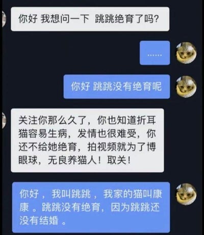 这是一段充满乌龙的聊天记录截图：一位用户向对方询问“跳跳绝育了吗”，回复者先以省略号回应，接着表示“跳跳没有绝育呢”。提问用户误以为“跳跳”是一只折耳猫，随即指责对方作为折耳猫主人，不给易生病的猫咪绝育，只为博眼球，是无良养猫人并扬言取关。最后回复者解开误会，说明自己叫跳跳，家里的猫叫康康，“跳跳没有绝育”指的是自己还未结婚，整个对话因名字的歧义制造出搞笑的反差效果。