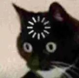 图片中是一只黑色的猫，额头中央有一个白色的星形图案，眼睛瞪得又大又圆，呈现出明显的惊讶表情。猫咪的毛色主要为黑色，下巴和胸前有少量白色毛发，背景为浅色，整体画面清晰，突出了猫咪的面部特征和表情。