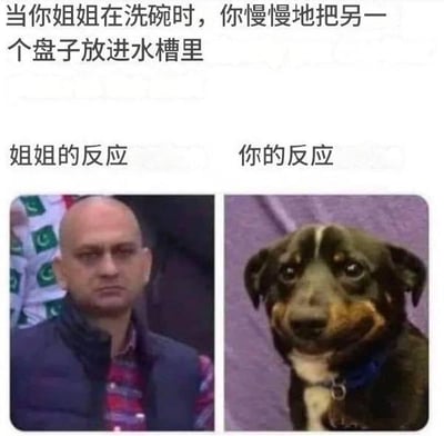 这是一张左右对比的多图拼接梗图，上方文字描述场景：“当你姐姐在洗碗时，你慢慢地把另一个盘子放进水槽里”。左侧标注“姐姐的反应”，配图为一名表情严肃、眼神略带不满的男子；右侧标注“你的反应”，配图为一只眼神无辜、歪头注视的小狗，通过人物与动物的表情对比，幽默展现家庭中姐弟/姐妹间的日常互动趣事。