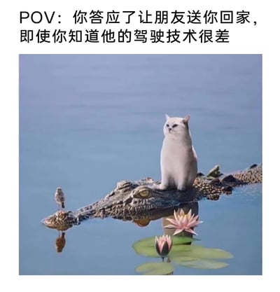 这是一张趣味合成梗图，图片上方配文“POV：你答应了让朋友送你回家，即使你知道他的驾驶技术很差”。画面中，一只表情紧绷、强装镇定的猫咪端坐在浮于水面的鳄鱼头上，鳄鱼眼神冷漠地浮在水中，还有一只小鸟平静地站在鳄鱼的嘴尖，水面上点缀着盛开与待放的莲花及莲叶。这张图将驾驶技术差的朋友比作充满危险的鳄鱼，把被迫搭车的自己比作坐在鳄鱼头上的猫咪，生动又荒诞地表现出明知朋友驾驶技术不佳，却还是选择搭车时那种忐忑不安、如坐针毡，仿佛置身险境的心情，违和又充满趣味的画面精准戳中了人们的共鸣点。