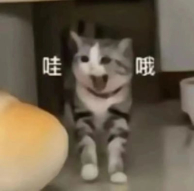 一只灰白色猫咪站在室内环境中，脸部被后期处理成扭曲搞笑的表情，看起来既像猫又有点像其他动物的混合体。猫咪眼睛瞪得很大，嘴巴张开，呈现出夸张的惊讶状态。图片左右两侧分别有白色文字“哇”和“哦”，强化了猫咪惊讶的情绪。背景中可以看到模糊的家具轮廓，前景有一个黄色的圆形物体。整体画面因动态效果而略显模糊，营造出滑稽有趣的视觉效果。