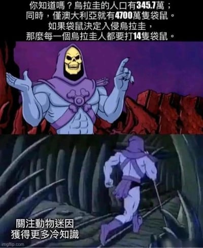 这是一张由经典动画《宇宙的巨人希曼》中骷髅王的截图改编而成的趣味梗图，采用上下拼接的形式。上半部分中，骷髅王摆出戏谑的讲解姿势，配文提出一个无厘头的趣味冷知识：乌拉圭人口约345.7万，澳大利亚的袋鼠数量达4700万只，若袋鼠入侵乌拉圭，每个乌拉圭人需要对抗14只袋鼠；下半部分中，骷髅王背对着镜头快速奔跑，底部配文“关注动物迷因获得更多冷知识”，通过角色前后反差的动作制造幽默效果，既传播了趣味冷知识，又引导用户关注相关内容，属于典型的动物类迷因创作。