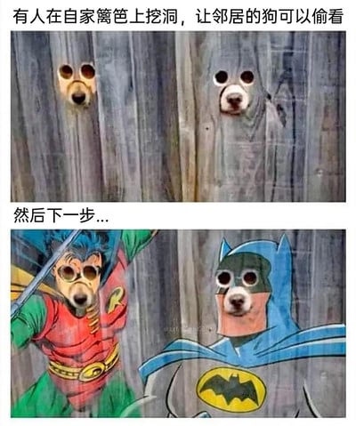 这是一组充满创意的连环搞笑梗图，第一张图呈现了有人在木质篱笆上挖出契合狗狗脸部的孔洞，两只狗狗将脸从洞中探出，鼻子和眼睛的位置刚好对应孔洞，营造出狗狗“偷看”的趣味场景；第二张图则是在此基础上进行的P图创作，给两只狗狗分别配上DC漫画经典超级英雄罗宾和蝙蝠侠的动漫身体，让原本只是“偷看”的狗狗变身成了超级英雄搭档，强烈的反差感让整组图充满恶搞与欢乐的氛围。