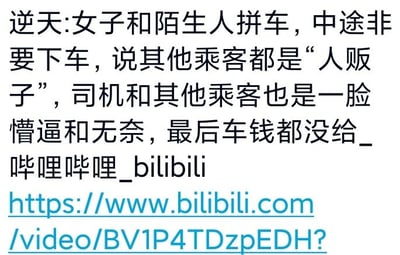 这是一张纯文字图片，内容描述了一起拼车纠纷事件：一名女子与陌生人拼车时，中途突然要求下车，指控其他乘客及司机为“人贩子”，导致司机和其他乘客表现出懵逼与无奈的情绪，最终该女子未支付车费便离开。图片下方附有“哔哩哔哩_bilibili”平台标识及对应的视频链接，整体用于呈现该事件的核心信息并引导用户访问相关视频。