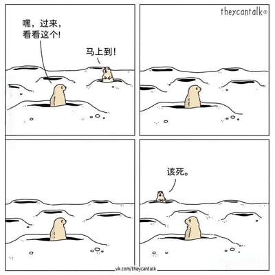 这是一幅四格漫画，描绘了两只土拨鼠的互动。第一格中，左侧土拨鼠从洞穴中探出头说："嘿，过来，看看这个!"，右侧土拨鼠回应："马上到!"。第二格中，左侧土拨鼠望向右侧，但右侧的土拨鼠已经消失。第三格中，两个洞穴都空了。第四格中，右侧土拨鼠重新出现并说："该死。"。漫画通过土拨鼠的消失与重现制造了幽默效果。