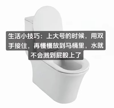 图片展示了一个白色马桶，马桶上方覆盖着一条灰色背景的白色文字，内容为“生活小技巧：上大号的时候，用双手接住，再慢慢放到马桶里，水就不会溅到屁股上了”。这显然是一个恶搞性质的“生活小技巧”，通过荒诞的建议制造幽默效果，并非真正实用的方法。