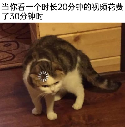 这是一张经过P图改编的文字加注类猫咪表情包，图片上方配有文字“当你看一个时长20分钟的视频花费了30分钟时”。图中的猫咪眉头紧皱，表情烦躁又无奈，头顶还被添加了放射状的崩溃特效，生动地还原了人们在观看视频时，因为分心（如反复暂停、查看评论、刷相关推荐内容等），导致实际花费的时间远超视频本身时长后，那种懊恼、烦躁的真实情绪，精准戳中了日常上网时的低效困扰，很容易引发网友的共鸣。
