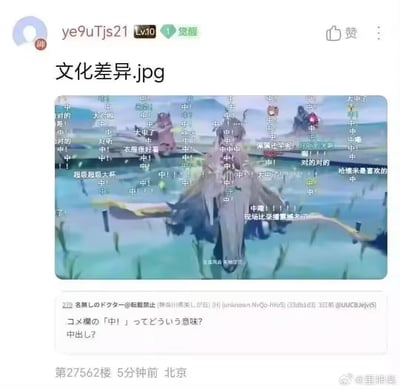 这张图片展现了二次元弹幕视频中“中”字的使用与日语观众的误解，生动反映了网络语言的文化差异和趣味误会。弹幕中“中”字泛滥，原为“命中要害”或“说得对”之意，但日本网友误认为是日语中有特殊含义的词，产生搞笑误会，体现了跨语种网络梗的传播和文化碰撞。

**含双关及谐音梗：“中”在日语中意为“中出”，有成人暗示，图中有意突出这种误解的文化差异。**