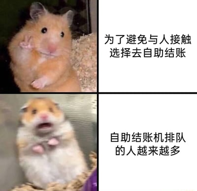 这是一组由两张仓鼠表情包组成的连环梗图，精准刻画了社恐人群的日常尴尬：第一张图里的仓鼠表情轻松淡定，比出V字手势，配文“为了避免与人接触选择去自助结账”，对应社恐为减少社交、避开人工收银的心态；第二张图里的仓鼠瞬间变得震惊崩溃，大张嘴巴、抬起前爪，配文“自助结账机排队的人越来越多”，表现出社恐发现自己的“避世”选择也失效，期望落空的崩溃与尴尬，完美戳中了社恐人群在公共场合想逃避社交却事与愿违的真实经历，充满搞笑与共鸣感。