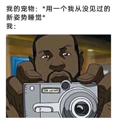 这是一张图文结合的搞笑梗图，上方文字构建了养宠日常中的趣味场景：宠物摆出了主人从未见过的新奇睡姿；下方是出自美国动画《乡下人》的卡通角色，他双手举着相机，神情专注地对准前方，生动还原了养宠人士看到宠物可爱、新奇瞬间时，第一反应就是拿出设备记录下来的真实状态，精准戳中养宠人群的日常共鸣，充满幽默趣味。