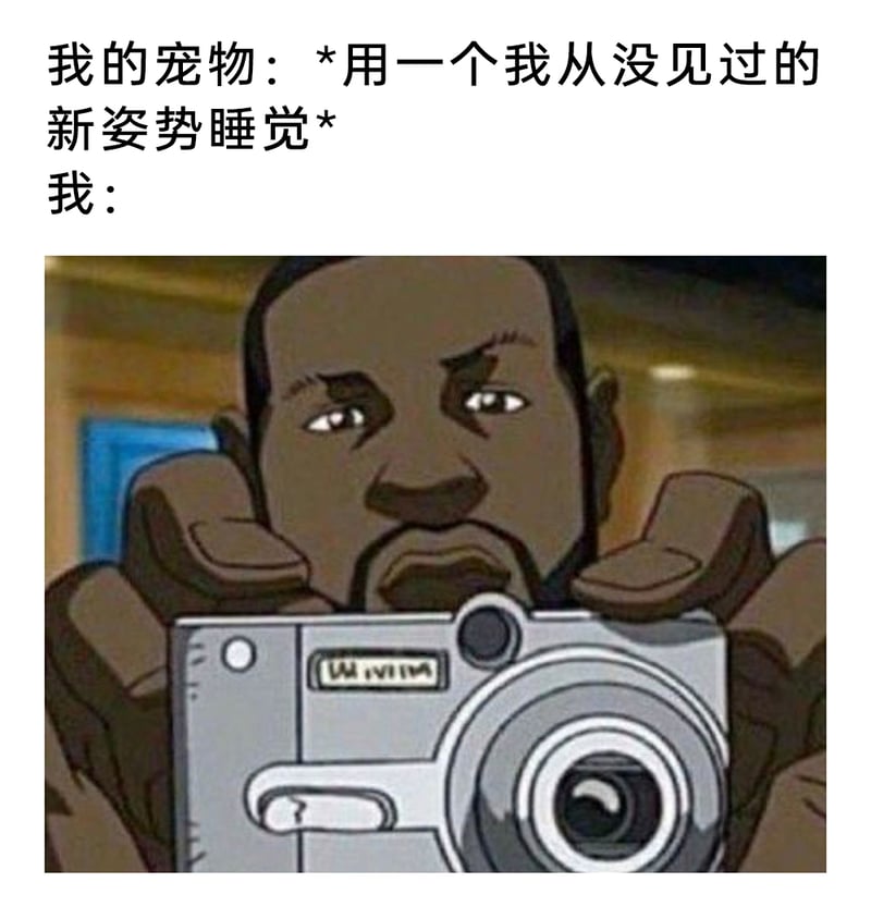 《乡下人》（The Boondocks）