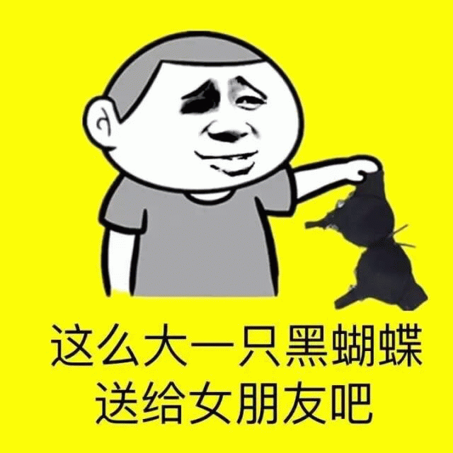 这么大一只黑蝴蝶送给女朋友