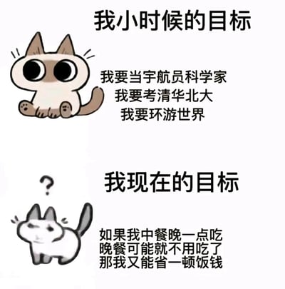 这是一张采用上下对比形式的静态图文梗图，整体分为两个部分。上半部分以“我小时候的目标”为标题，搭配一只眼睛圆睁、姿态端正的卡通猫，文字内容列出了童年时期充满雄心壮志的人生目标：成为宇航员科学家、考上清华北大、环游世界，尽显年少时的憧憬与理想；下半部分以“我现在的目标”为标题，搭配一只歪头晃脑、神情茫然的卡通猫，文字内容则是极为务实的省钱小想法：中餐晚吃来省去晚餐，以此节省饭钱。通过前后目标的巨大反差，精准调侃了当代年轻人在成长过程中，被生活打磨后理想向现实妥协的状态，引发众多打工人的情感共鸣。