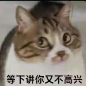 这是一张加注文字的猫咪表情包，图中是一只睁大眼睛、表情看起来纠结又无奈的真实猫咪，底部配文“等下讲你又不高兴”，精准表达了想要说出某件事，但又顾虑对方会因此生气的纠结、两难情绪，很适合在和他人沟通，尤其是怕引发对方不快的场景中使用。