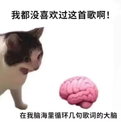 图片左侧是一只黑白相间的奶牛猫，表情惊讶，嘴巴微张；右侧是一个粉色的大脑模型。上方文字为“我都没喜欢过这首歌啊！”，下方文字为“在我脑海里循环几句歌词的大脑”。整体通过拟人化的猫和大脑形象，幽默地表现了“不喜欢的歌却在脑海中无限循环”的无奈日常场景。