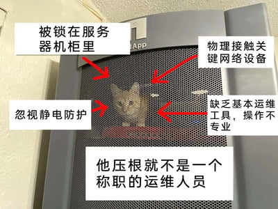 这是一张趣味P图作品，创作者将一只猫咪合成到服务器机柜的网格门后方，模拟出猫咪身处机柜内部的场景。随后用多个带红色箭头的白色文字框，以运维工作的专业标准对这只猫咪进行“指责”，包括“被锁在服务器机柜里”“物理接触关键网络设备”“忽视静电防护”“缺乏基本运维工具，操作不专业”，最后用一个文字框总结“他压根就不是一个称职的运维人员”。整幅图以拟人化的调侃方式，结合运维职场的专业内容，制造出反差感的趣味效果，常用于运维、程序员圈子里缓解工作压力，是对运维日常的趣味化演绎。