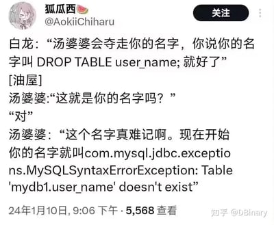 这是一张结合经典动画《千与千寻》剧情与程序员SQL编程知识的搞笑衍生梗图，改编自白龙指导千寻应对汤婆婆夺走名字的经典情节：白龙让千寻告诉汤婆婆自己的名字是SQL删除表语句`DROP TABLE user_name;`，试图用SQL注入的方式“搞破坏”；结果汤婆婆直接将执行该语句后出现的MySQL语法报错信息作为千寻的新名字，形成了只有程序员才能get到的搞笑反转，吐槽了SQL注入失败后出现报错的尴尬场景，将动画剧情与编程梗巧妙结合，充满脑洞。
