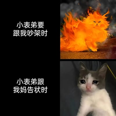 图片为左右对比的双 panel 结构，左侧为文字描述，右侧为对应场景的猫咪图片。上半部分文字“小表弟要跟我吵架时”搭配一只全身毛发如火焰般炸开的橘猫，眼神犀利，充满愤怒气场；下半部分文字“小表弟跟我妈告状时”则对应一只灰白相间的猫咪，睁着水汪汪的大眼睛，表情委屈可怜，形成鲜明的态度反差，幽默展现了亲戚间常见的“吵架时嚣张，告状时装可怜”的双标行为。