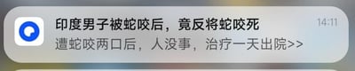 这是一则新闻推送的屏幕截图，主标题为“印度男子被蛇咬后，竟反将蛇咬死”，副标题补充说明该男子被蛇咬了两口后并未出现生命危险，仅接受了一天的治疗就顺利出院。内容极具戏剧性，完全颠覆了人们对于“人被蛇咬后”的常规认知，充满荒诞感与意外性，属于猎奇类的社会新闻。