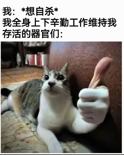 这张梗图以幽默反差的方式调侃了人类消极情绪与身体本能求生欲的冲突。上方文字写着「我：*想自杀* 我全身上下辛勤工作维持我存活的器官们：」，下方是一只被P上人类大拇指的真实猫咪，它瞪着圆眼睛，竖起大拇指，仿佛代表身体器官在给主人打气。这种将真实动物照片与人体部位合成的创作，用荒诞的画面制造笑点，精准戳中人们在情绪低落时，身体却仍在努力运作的无奈又好笑的状态。