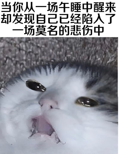 图片上方为黑色文字：'当你从一场午睡中醒来却发现自己已经陷入了一场莫名的悲伤中'，下方是一张猫咪的面部特写。猫咪有着灰白相间的毛发，眼睛睁大凝视前方，嘴巴微张，表情看起来带有明显的悲伤情绪，仿佛正经历着文字所描述的午睡后莫名悲伤的状态。整体通过文字与猫咪表情的结合，生动表达了人们有时午睡醒来会感到的低落情绪。