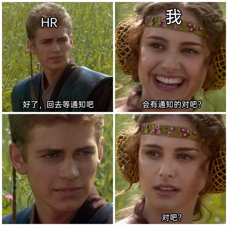帕德梅·阿米达拉