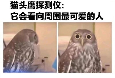 暂无描述