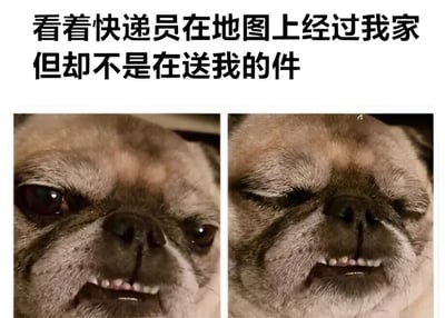 图片上方配有文字“看着快递员在地图上经过我家但却不是在送我的件”，下方为两张并排的巴哥犬特写照片。左侧照片中，巴哥犬眼睛睁大，眼神中带着期待和专注；右侧照片中，它眯起眼睛，嘴角微张露出牙齿，表情显得有些无奈和失望。通过狗狗前后表情的对比，幽默地展现了人们看到快递员就在附近却没收到自己包裹时的失落心情。