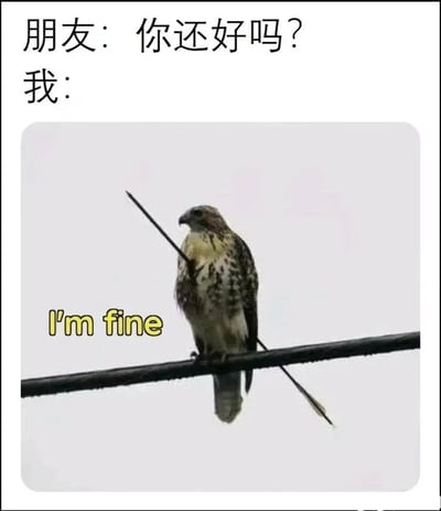 这是一张搞笑自嘲表情包，顶部配有中文配文“朋友：你还好吗？我：”，下方配图为一只站在黑色电线上的老鹰，它的身体被一根长箭径直穿过，状态看上去十分糟糕，但图中搭配了黄色的英文文字“I'm fine”，用强烈的反差感调侃人在处境糟糕、状态极差的时候，依旧硬撑着说自己没事的嘴硬状态，诙谐生动，容易引发大众共鸣。