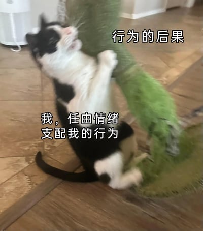 这是一张趣味自嘲类表情包，画面主体是一只黑白奶牛猫，正失控地抓挠家中的绿色猫抓柱，身体后仰，神态激动，完全呈现出被情绪支配的状态。图中配有两行贴合场景的文字，下方文字“我，任由情绪支配我的行为”将猫咪的行为拟人化，代表情绪化的人的内心写照，上方文字“行为的后果”则点明了被情绪支配后需要承担的结果。该图用猫咪失控的真实行为，生动形象地调侃了人类在缺乏情绪管理时，被情绪驱使做出冲动行为，最终要面对相应后果的状态，十分贴切地表达了情绪化后的自嘲与反思。