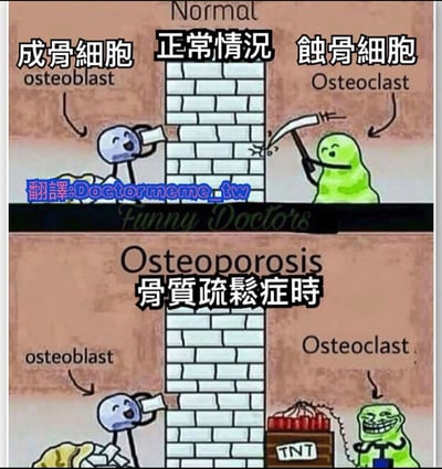 图片为上下两格对比的卡通漫画，用于科普骨质疏松症的原理。上格标题为“正常情况（Normal）”，左侧蓝色 stick figure 形象的“成骨细胞（osteoblast）”正微笑着用砖块堆砌墙壁（象征骨骼形成），右侧绿色 blob 状的“蚀骨细胞（Osteoclast）”手持小镐子轻轻敲除砖块（象征骨骼吸收），两者保持平衡。下格标题为“骨质疏松症时（Osteoporosis）”，成骨细胞仍在缓慢砌墙，但蚀骨细胞已拿出标有“TNT”的炸药箱，咧嘴坏笑准备爆破墙壁，夸张表现骨质疏松时骨吸收大于骨形成的失衡状态。
