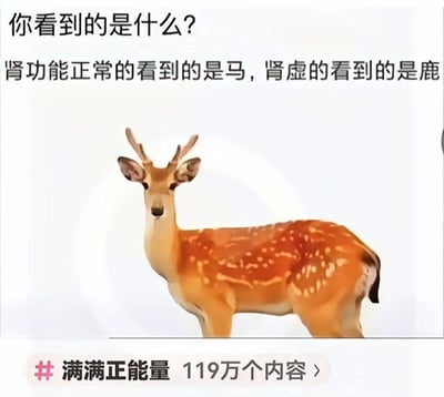 这是一张利用视觉错觉制作的网络趣味梗图，图中展示了一个头部为鹿、身体部分视觉上兼具鹿和马特征的合成动物。配文以“肾功能正常看马，肾虚看鹿”的无科学依据的玩笑说法制造趣味，属于网络上的整活类内容，用来在社交平台或朋友间互相调侃，通过这种荒诞的测试设定博人一笑，没有实际的医学参考价值，纯为娱乐。