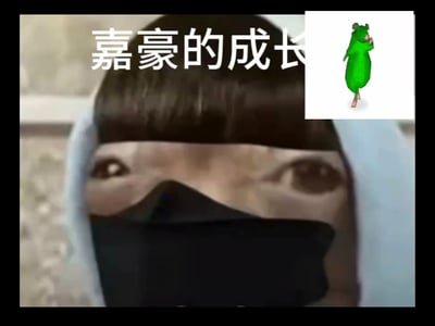 这是一张基于网络热梗创作的搞笑表情包，画面主体是一个留着齐刘海、佩戴黑色口罩、身穿连帽衫的卡通化人脸，眼神呆滞又故作冷酷，画面上方配有白色文字“嘉豪的成长”，右上角还搭配了一个绿色的跳舞老鼠的搞笑表情包，整体风格诙谐，用于玩梗调侃。