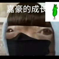 嘉豪缩略图