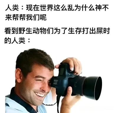 这张梗图通过上下对比的文字和图片，讽刺了人类的双重标准。上方文字描述人类抱怨世界混乱，质问神为何不帮忙；下方文字转折，配上一位男性摄影师微笑着用专业相机拍照的图片，暗示人类在观看野生动物为生存激烈争斗时反而表现出兴趣和娱乐心态。图片通过这种反差制造幽默效果，揭示人类面对自身问题时祈求帮助，却对其他物种的苦难持旁观甚至欣赏态度的矛盾心理。